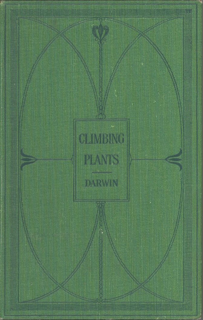 Standalone